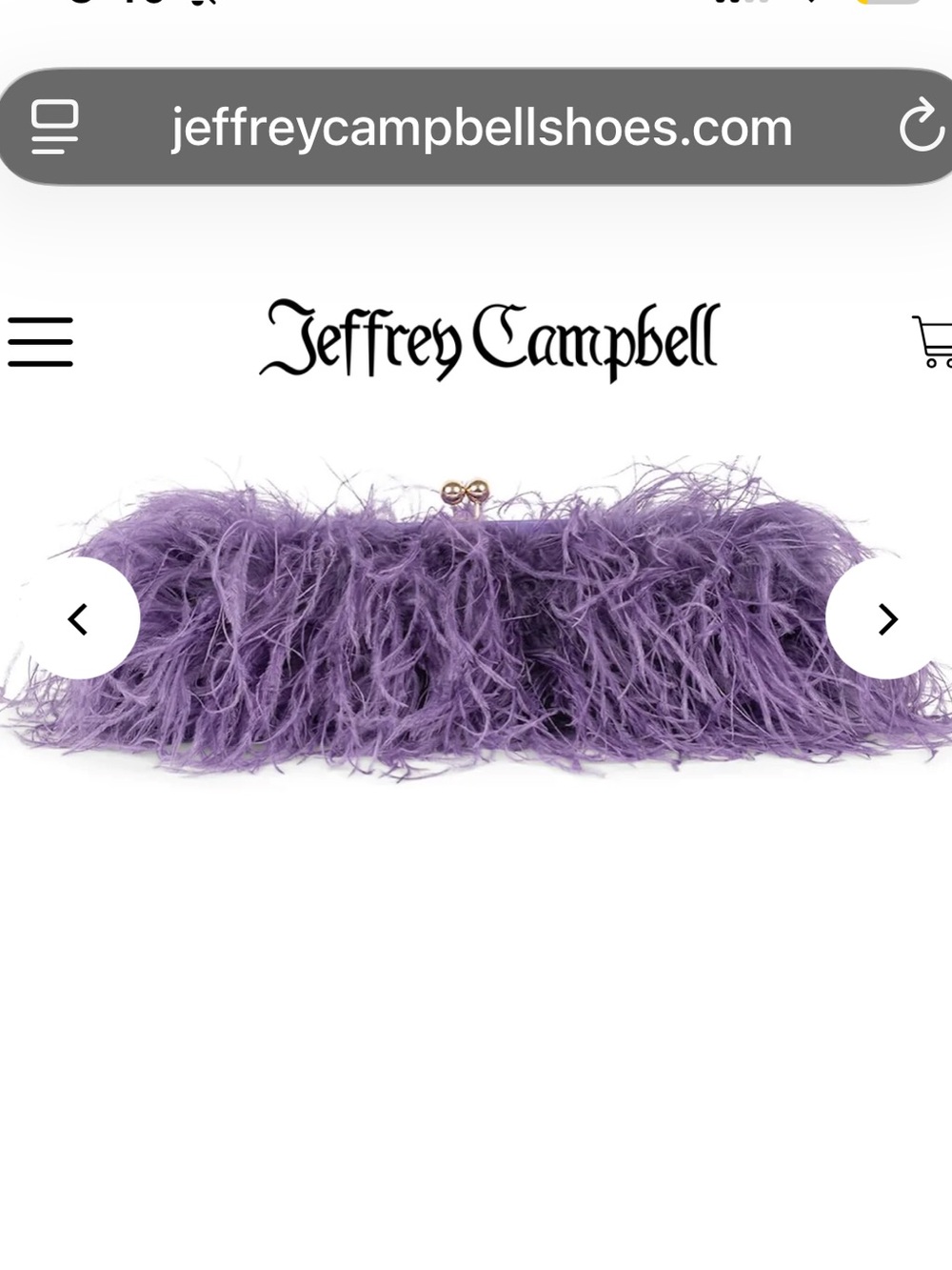 ISO Jeffrey Campbell feather clutch